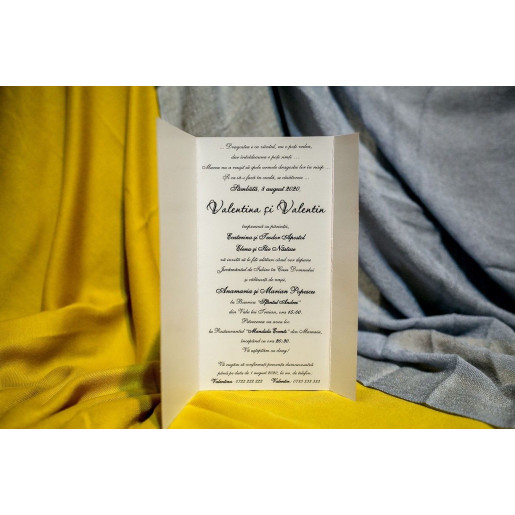 Invitatie de nunta 208 NEW BEST