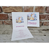 Invitatie De Botez Cu Animale Si Baloane 604 TH